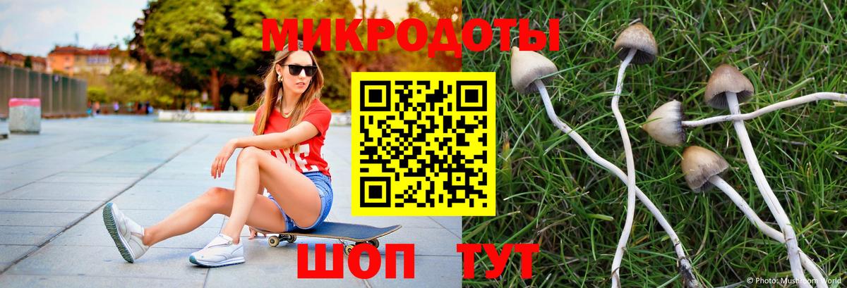 Гусь-Хрустальный  Псилоцибиновые грибы ЛСД  Псилоцибиновые грибы Magic Shrooms  Вход с VPN 