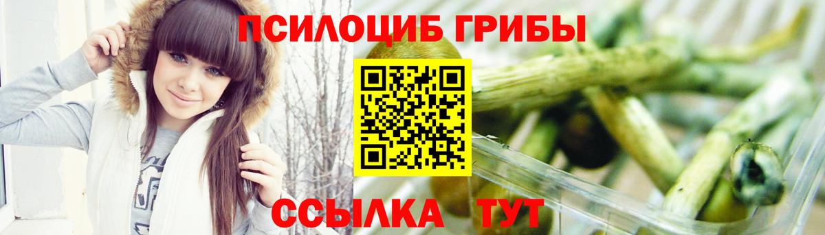 Псилоцибиновые грибы прущие грибы Гусь-Хрустальный